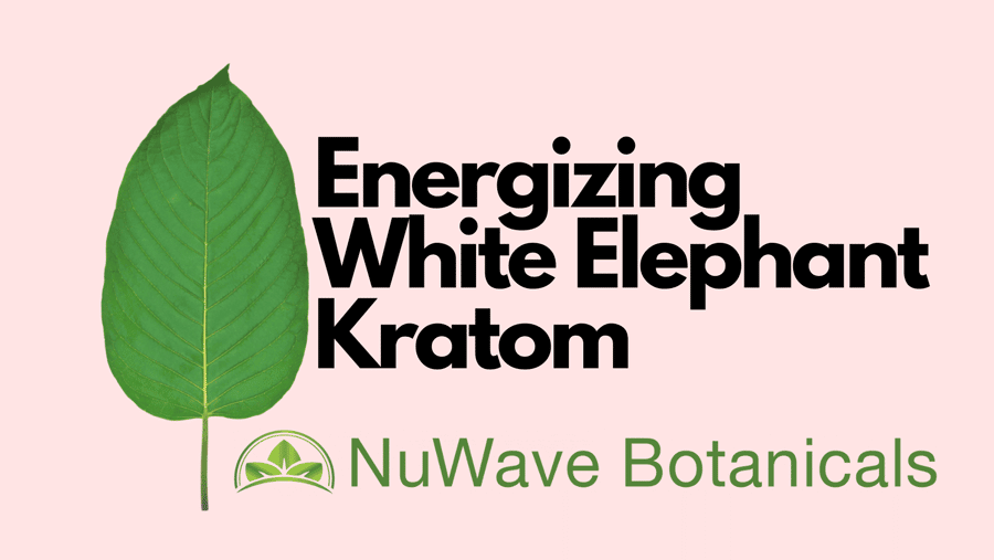 white elephant kratom leaf