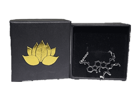 Alkaloid Stainless Steel Kratom Necklace and box eds