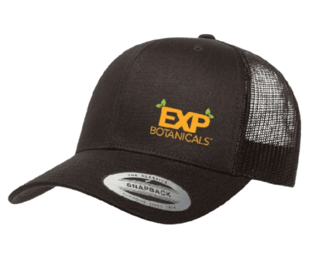 A black EXP Trucker Cap with EXP written on it.